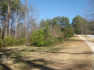 Brookwood Oaks Front Entrance Common Area 001